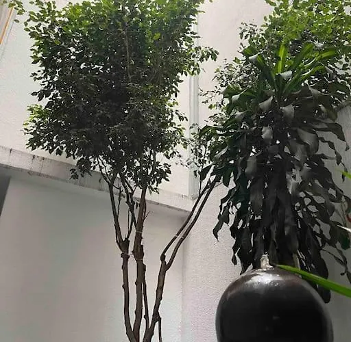 Increible Y Nuevo Depa Centrico! Apartment *